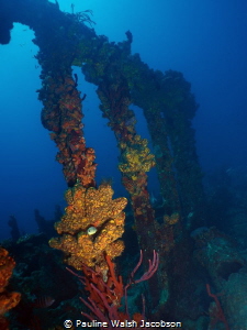 Wreck of the RMS Rhone, Salt Island, British Virgin Islands by Pauline Walsh Jacobson 